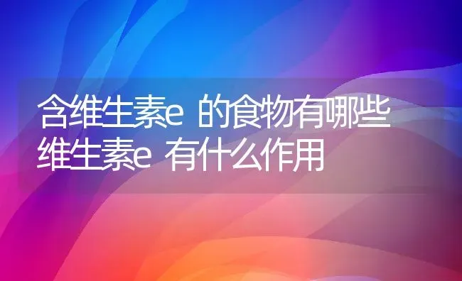 含维生素e的食物有哪些 维生素e有什么作用 | 养殖资料投稿