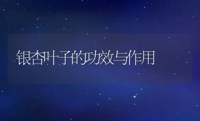 银杏叶子的功效与作用 | 养殖资料投稿