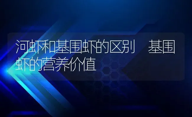河虾和基围虾的区别 基围虾的营养价值 | 养殖资料投稿