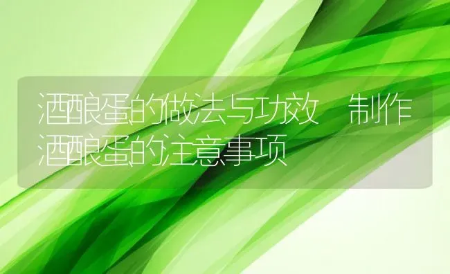 蛇莓草的功效与作用 蛇莓草怎么吃好 | 养殖资料投稿
