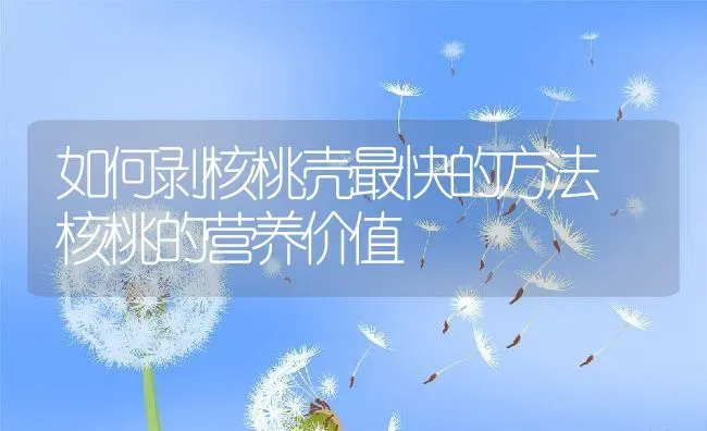 如何剥核桃壳最快的方法 核桃的营养价值 | 养殖资料投稿