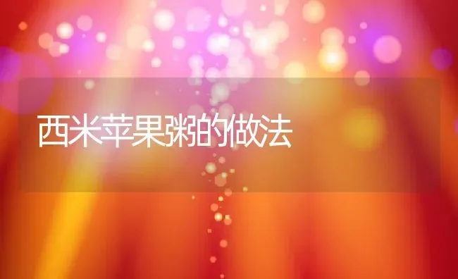 西米苹果粥的做法 | 养殖资讯