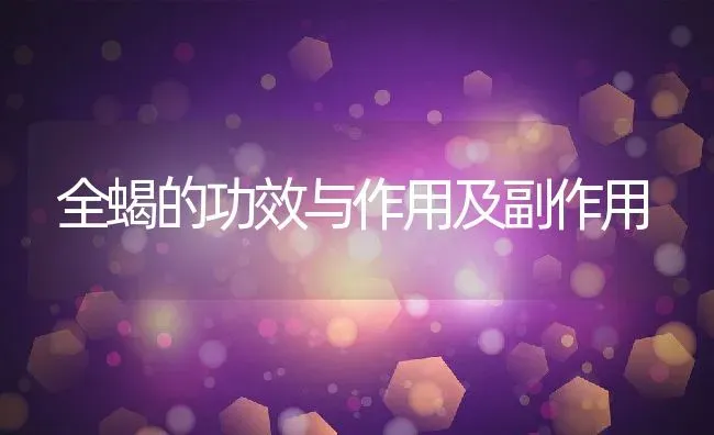 全蝎的功效与作用及副作用 | 养殖资料投稿