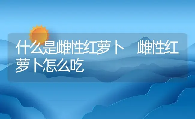 什么是雌性红萝卜 雌性红萝卜怎么吃 | 养殖资料投稿