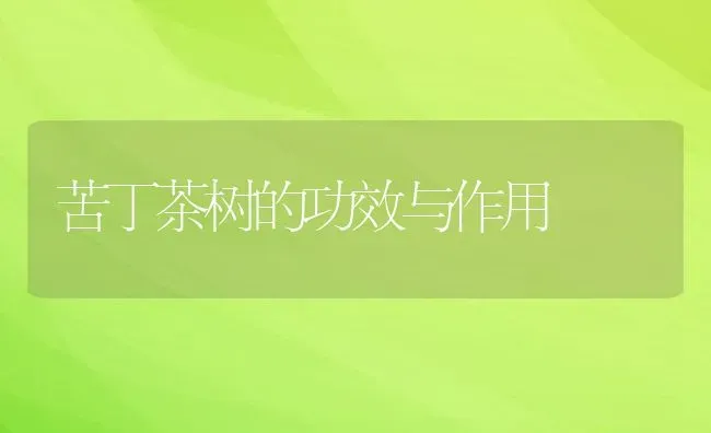 经常吃辣根木耳的功效与作用 | 养殖资料投稿