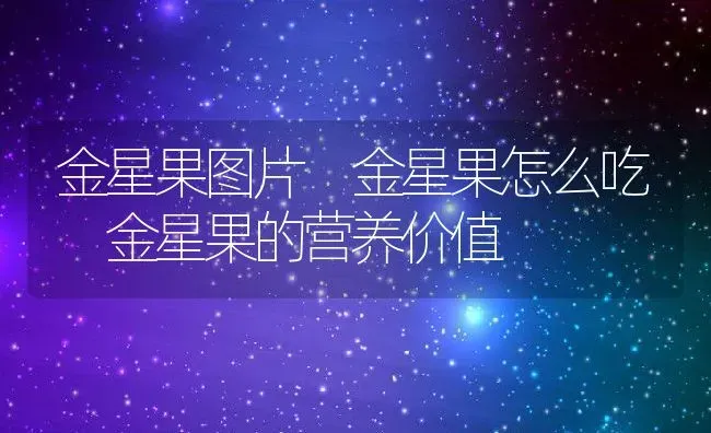 金星果图片 金星果怎么吃 金星果的营养价值 | 养殖资料投稿