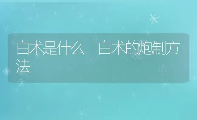 白术是什么 白术的炮制方法 | 养殖资料投稿