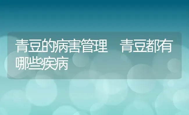 青豆的病害管理 青豆都有哪些疾病 | 养殖资料投稿