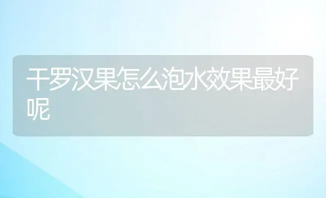 干罗汉果怎么泡水效果最好呢 | 养殖资料投稿