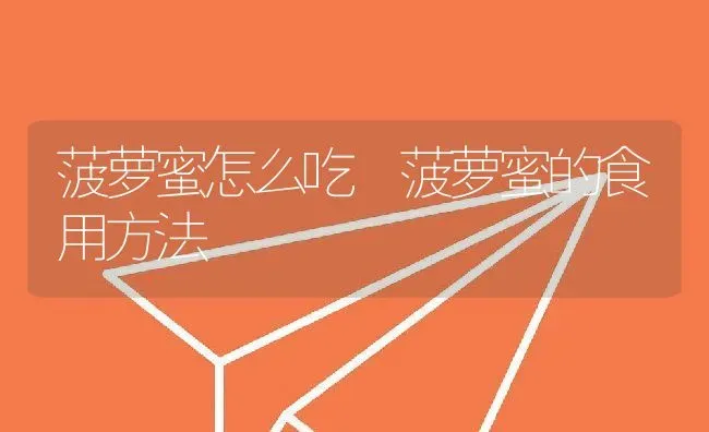 菠萝蜜怎么吃 菠萝蜜的食用方法 | 养殖资料投稿