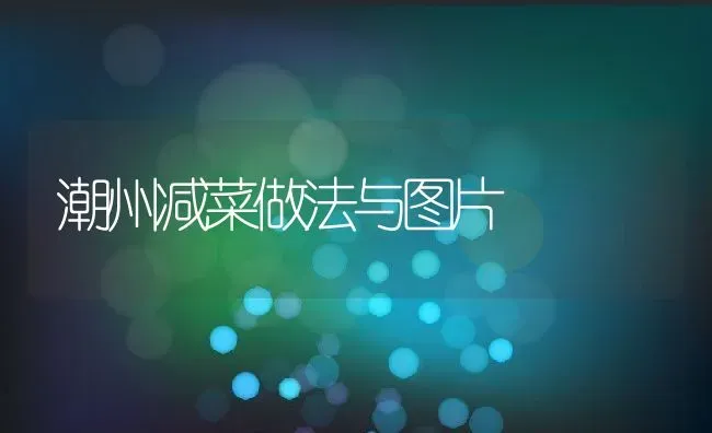 潮州减菜做法与图片 | 养殖资料投稿