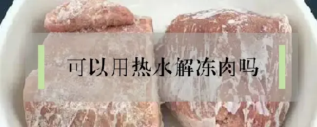 可以用热水解冻肉吗