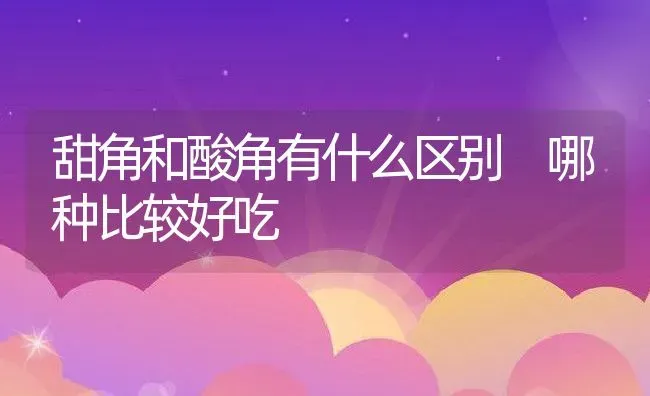 甜角和酸角有什么区别 哪种比较好吃 | 养殖资料投稿