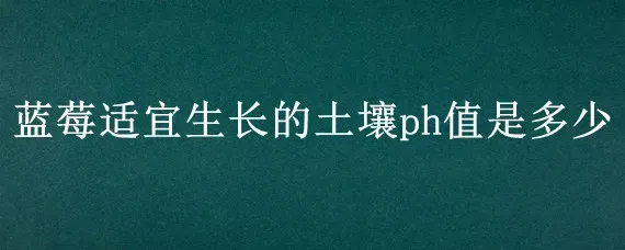 蓝莓适宜生长的土壤ph值是多少