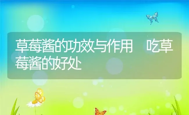 草莓酱的功效与作用 吃草莓酱的好处 | 养殖资料投稿