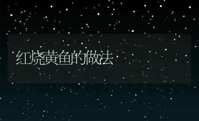 红烧黄鱼的做法 | 养殖资料投稿