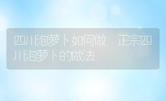 四川泡萝卜如何做 正宗四川泡萝卜的做法 | 养殖资料投稿