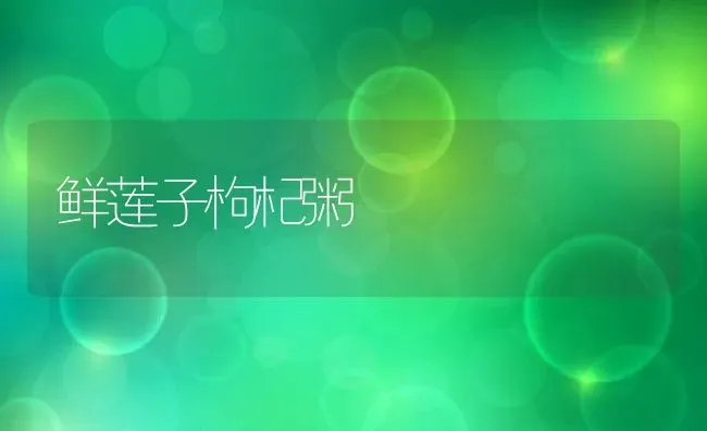鲜莲子枸杞粥 | 养殖资讯