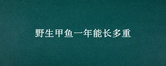 野生甲鱼一年能长多重