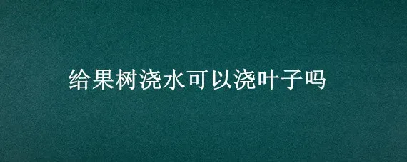 给果树浇水可以浇叶子吗