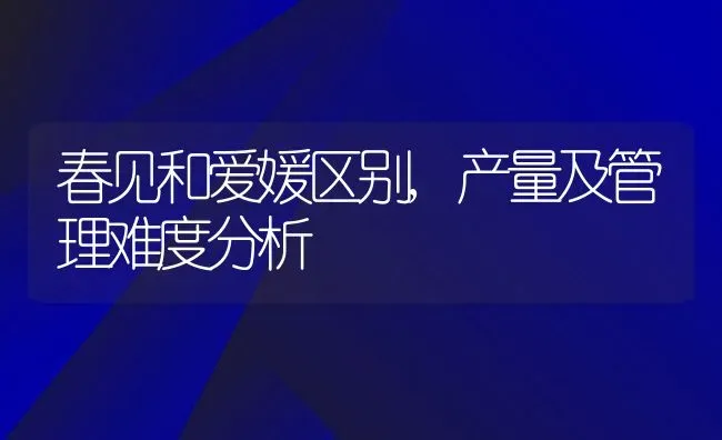 春见和爱媛区别,产量及管理难度分析 | 养殖资讯