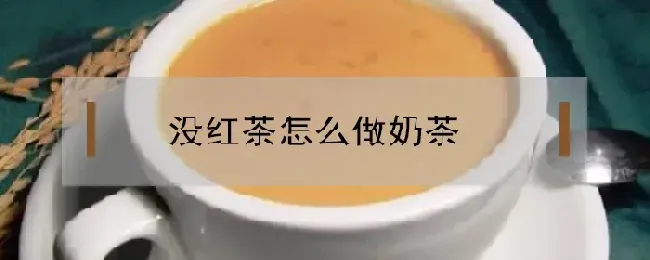 没红茶怎么做奶茶