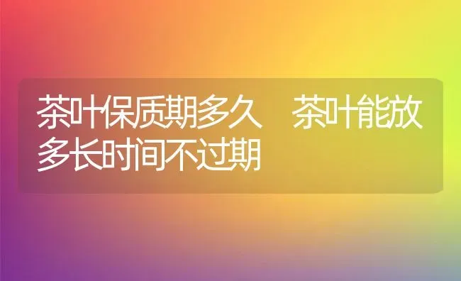 茶叶保质期多久 茶叶能放多长时间不过期 | 养殖资料投稿