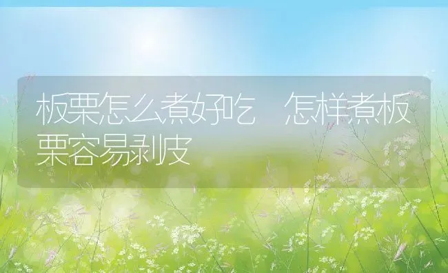 板栗怎么煮好吃 怎样煮板栗容易剥皮 | 养殖资料投稿