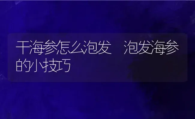 干海参怎么泡发 泡发海参的小技巧 | 养殖资料投稿