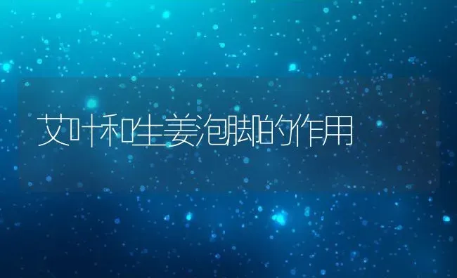 艾叶和生姜泡脚的作用 | 养殖资料投稿
