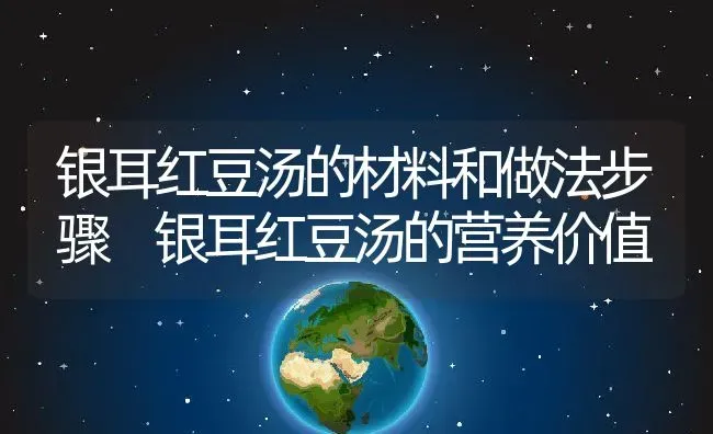 银耳红豆汤的材料和做法步骤 银耳红豆汤的营养价值 | 养殖资料投稿