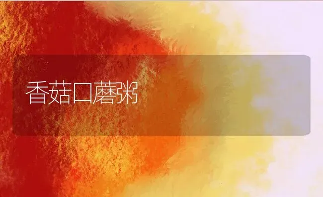 香菇口蘑粥 | 养殖资讯