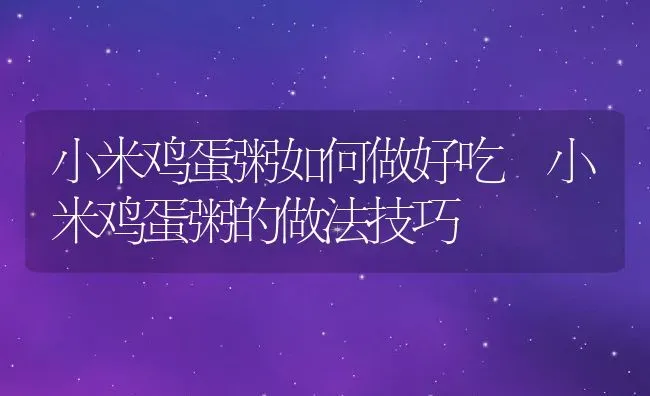 小米鸡蛋粥如何做好吃 小米鸡蛋粥的做法技巧 | 养殖资讯