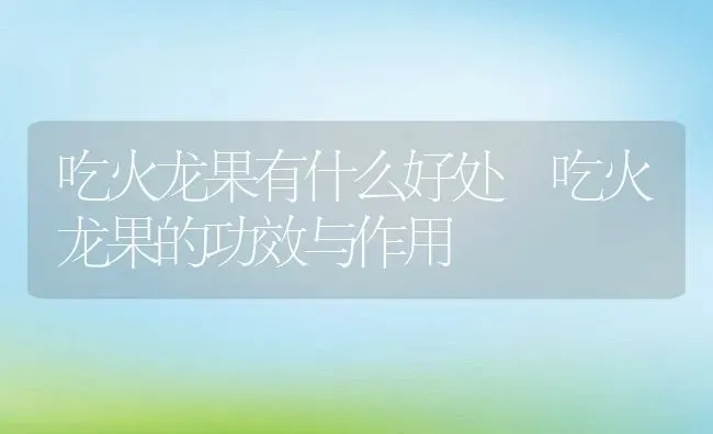 吃火龙果有什么好处 吃火龙果的功效与作用 | 养殖资料投稿