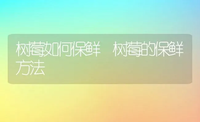 树莓如何保鲜 树莓的保鲜方法 | 养殖资料投稿