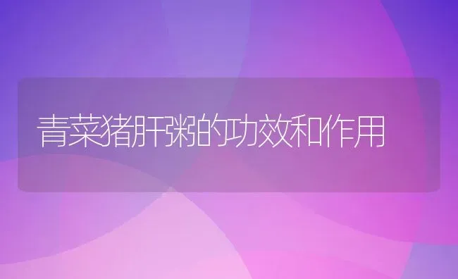 青菜猪肝粥的功效和作用 | 养殖资料投稿