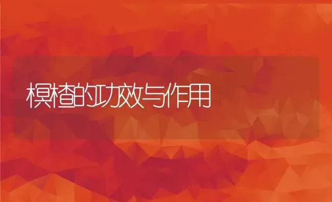 榠楂的功效与作用 | 养殖资料投稿