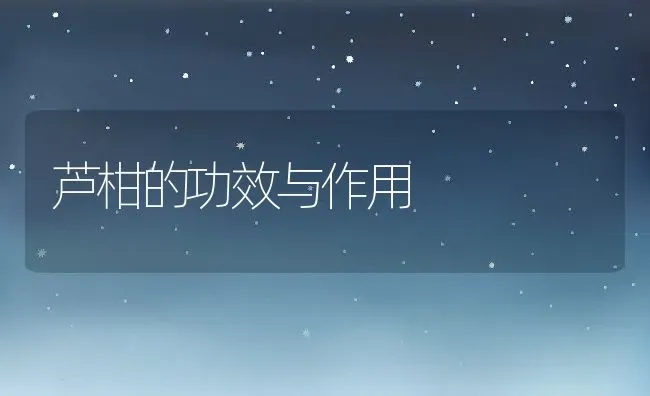 芦柑的功效与作用 | 养殖资料投稿