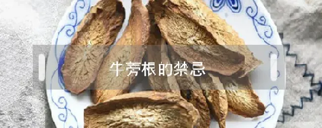 牛蒡根的禁忌