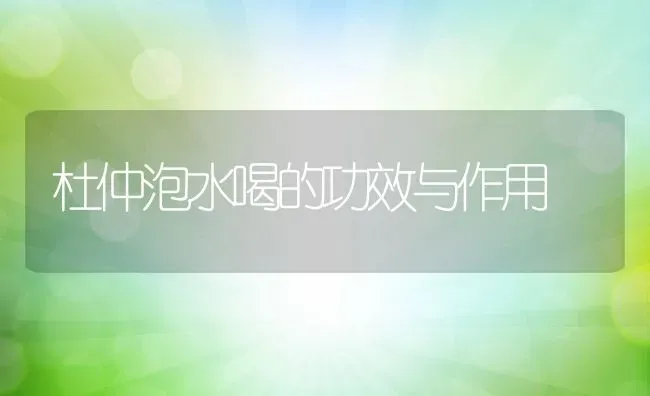 杜仲泡水喝的功效与作用 | 养殖资料投稿