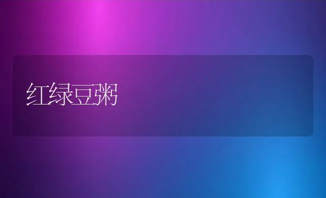 红绿豆粥 | 养殖资料投稿