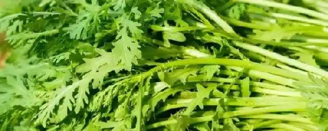 茼蒿和空心菜是一种菜吗？