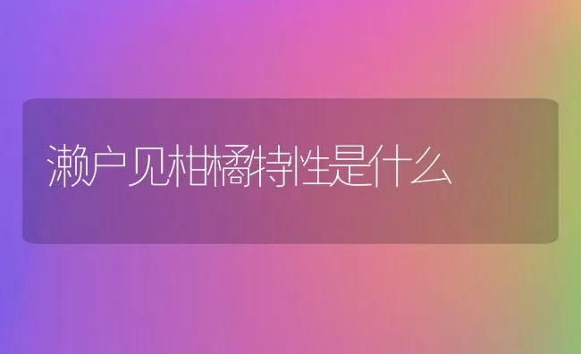 濑户见柑橘特性是什么 | 养殖资讯