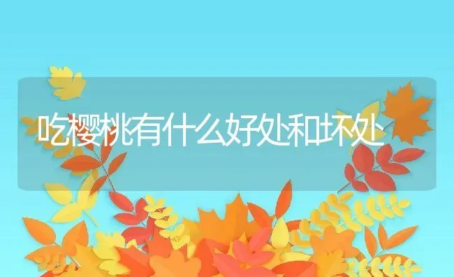 吃樱桃有什么好处和坏处 | 养殖资料投稿