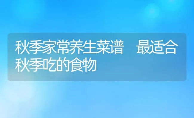 秋季家常养生菜谱 最适合秋季吃的食物 | 养殖资料投稿