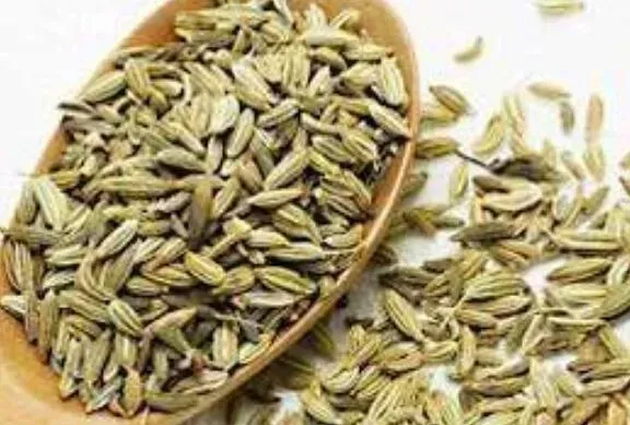 莳萝子和小茴香什么区别？