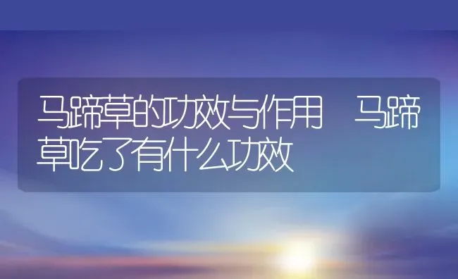 马蹄草的功效与作用 马蹄草吃了有什么功效 | 养殖资料投稿