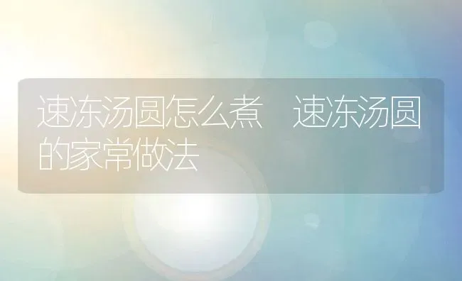 速冻汤圆怎么煮 速冻汤圆的家常做法 | 养殖资料投稿