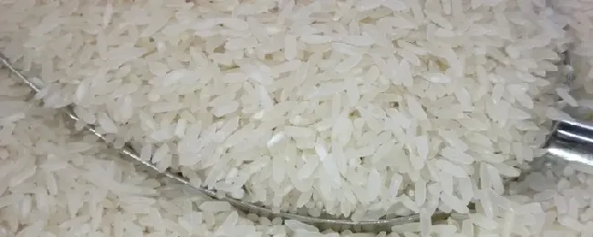 油粘米属于哪种米？