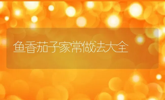 鱼香茄子家常做法大全 | 养殖资料投稿